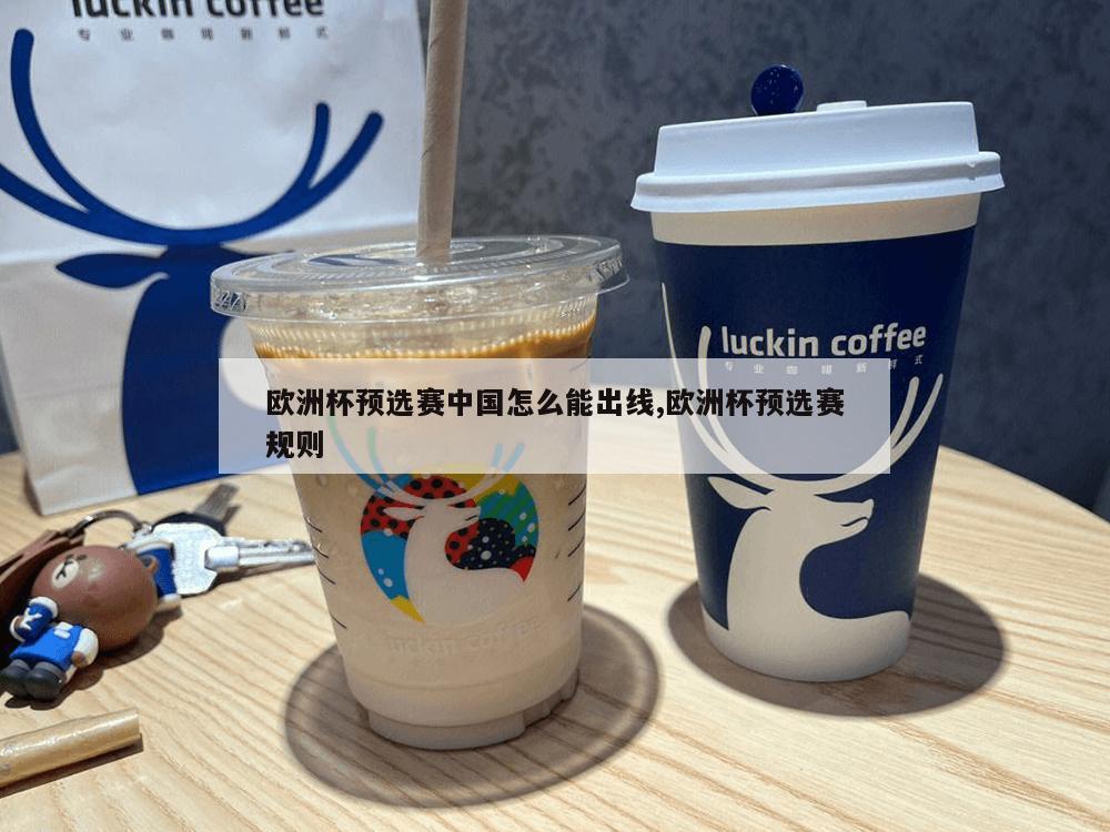 欧洲杯预选赛中国怎么能出线,欧洲杯预选赛规则