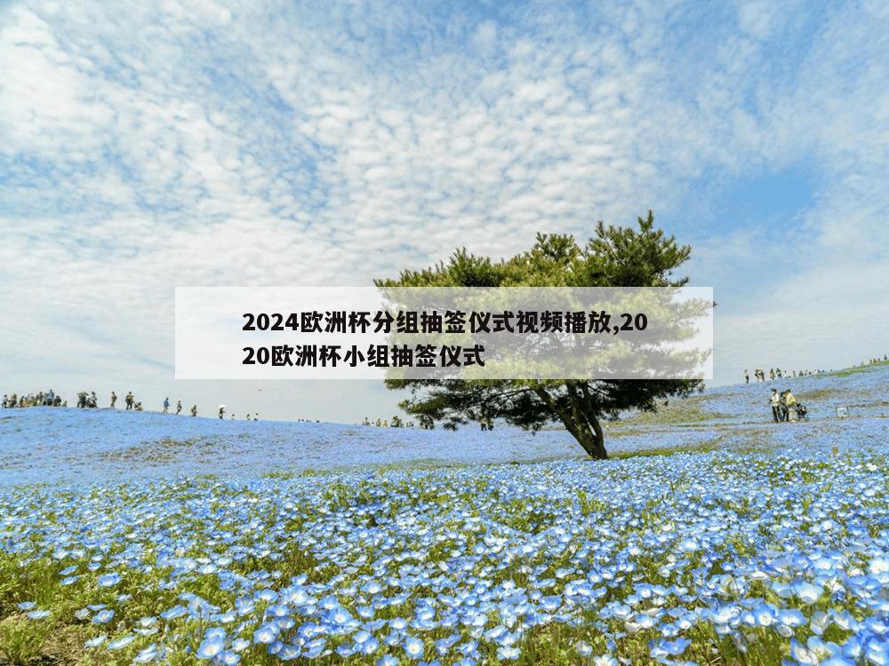 2024欧洲杯分组抽签仪式视频播放,2020欧洲杯小组抽签仪式