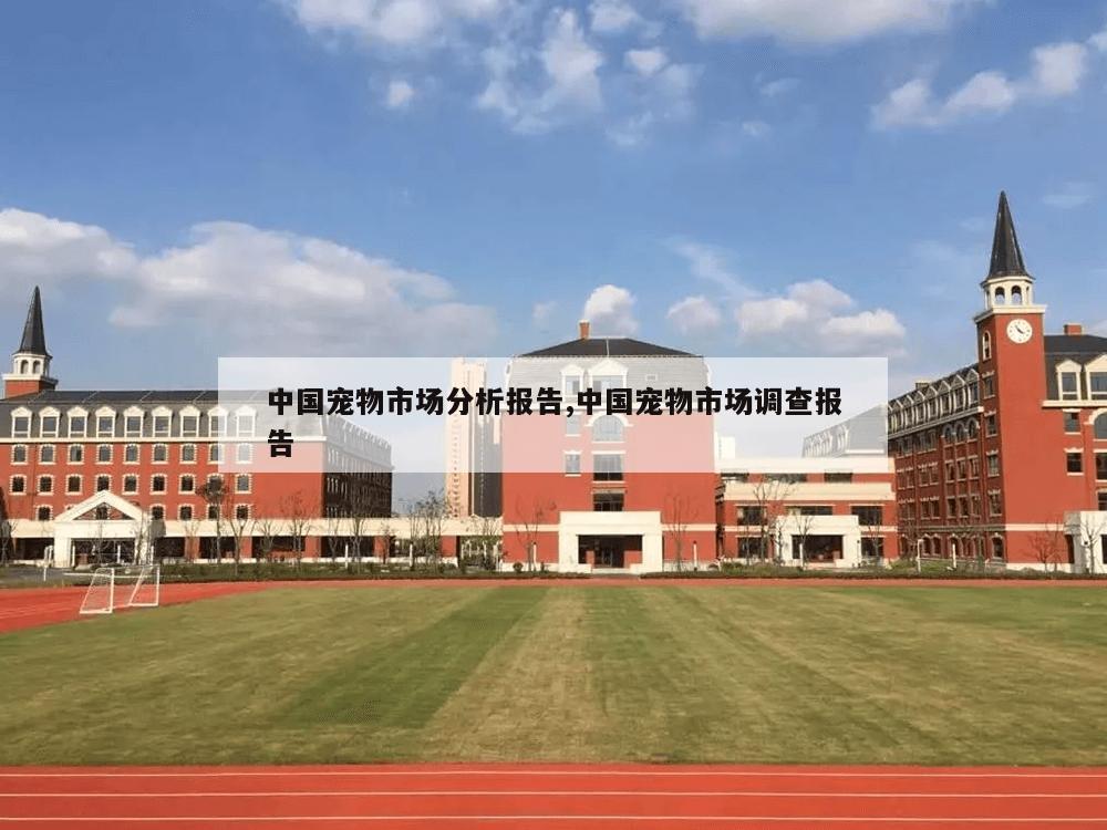 中国宠物市场分析报告,中国宠物市场调查报告