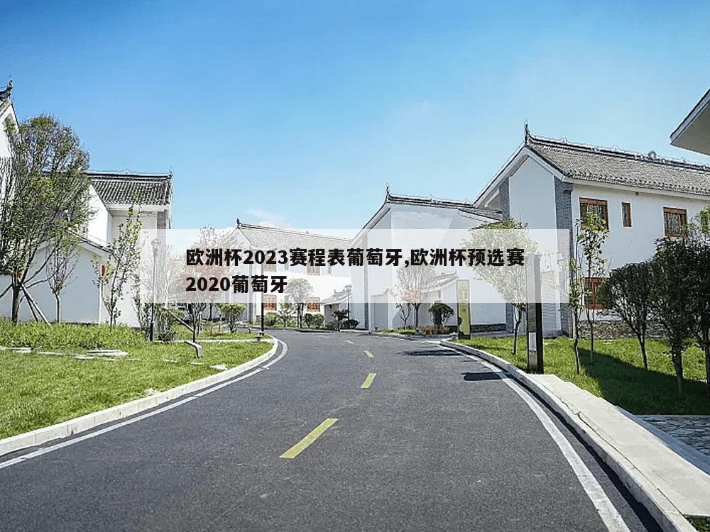 欧洲杯2023赛程表葡萄牙,欧洲杯预选赛2020葡萄牙