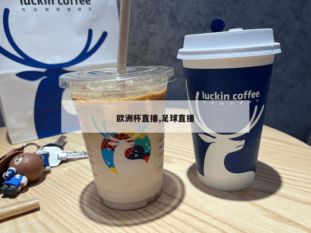 欧洲杯直播,足球直播