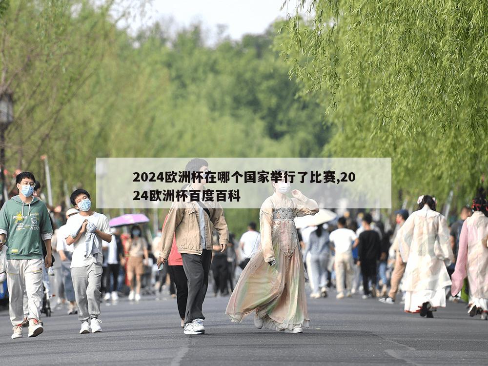 2024欧洲杯在哪个国家举行了比赛,2024欧洲杯百度百科