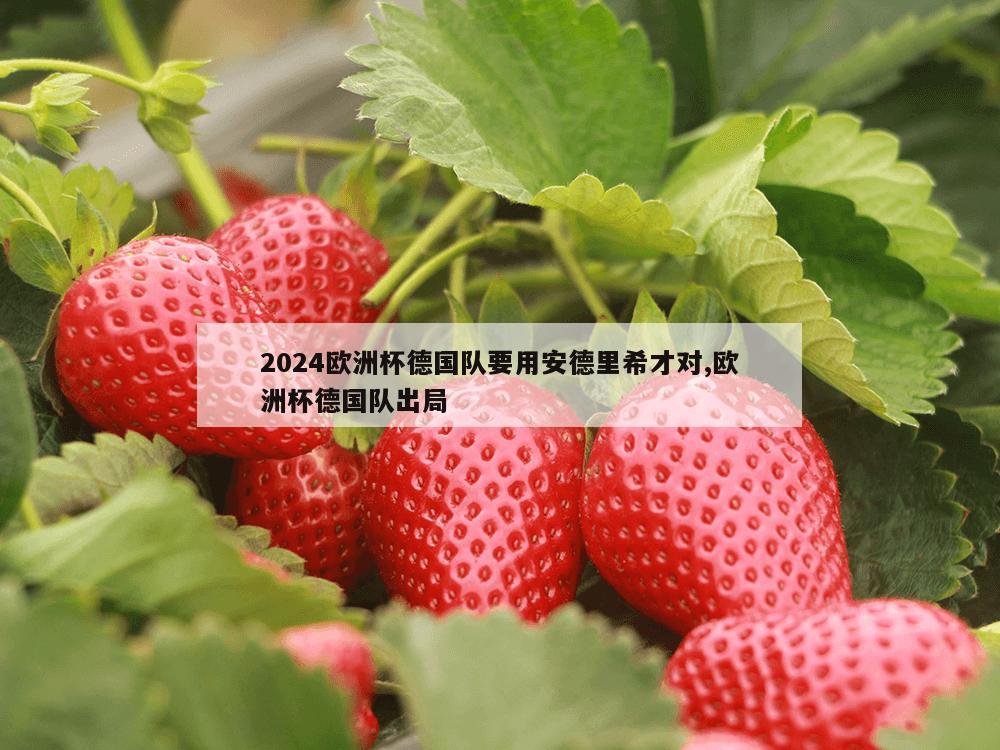 2024欧洲杯德国队要用安德里希才对,欧洲杯德国队出局