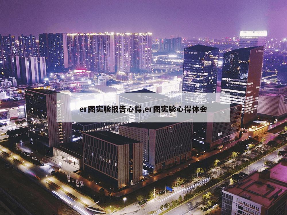 er图实验报告心得,er图实验心得体会