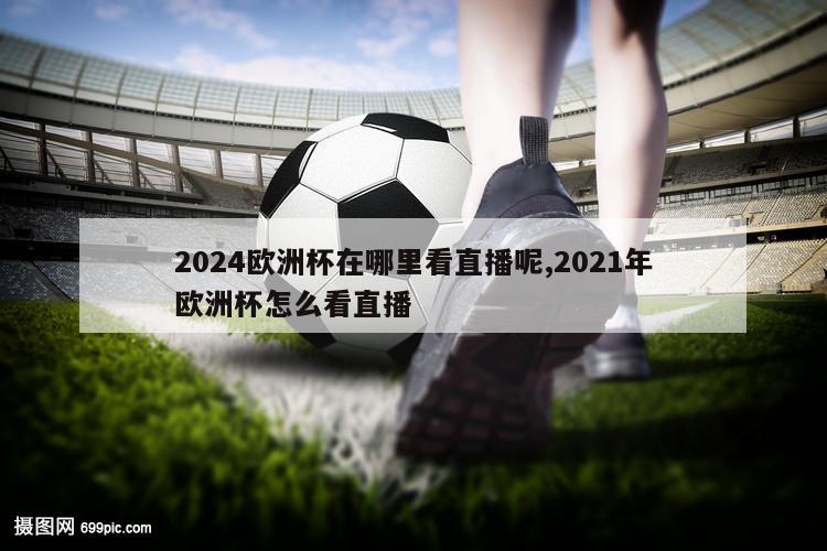 2024欧洲杯在哪里看直播呢,2021年欧洲杯怎么看直播